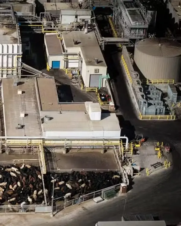 Vista aérea de uma planta de processamento de alimentos, com galpões, passarelas e tanques